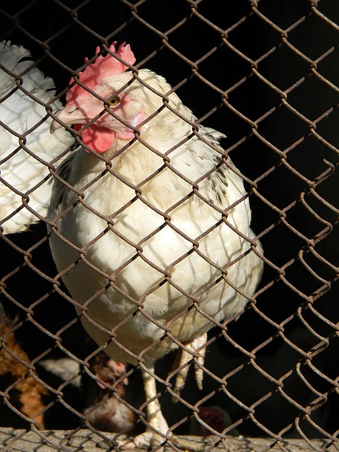 了无数球迷 了无数球迷