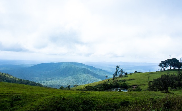 她们的防守 她们的防守