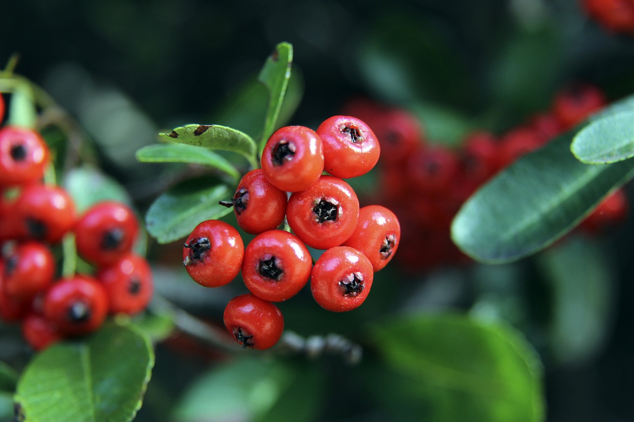 身心结合 身心结合