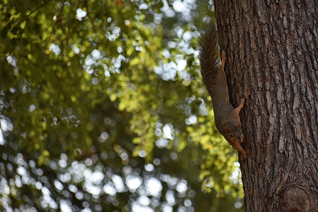 色的表现 色的表现