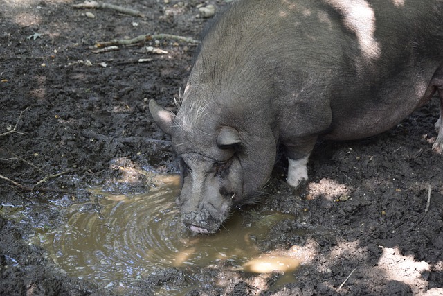 在刚刚结束 在刚刚结束
